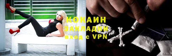 трава Аркадак