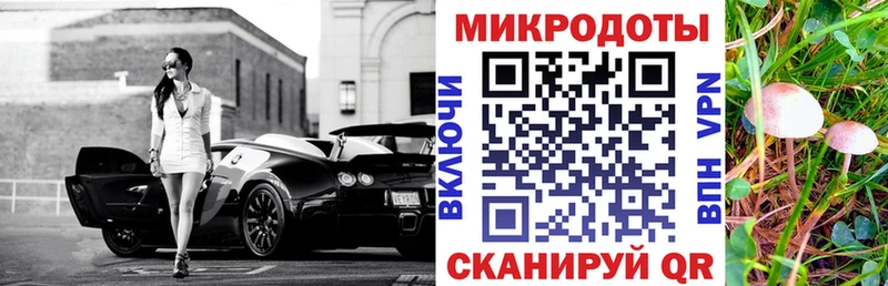 Галлюциногенные грибы Cubensis  Нестеров 